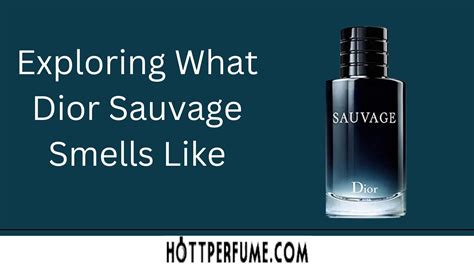 dior sauvage parfum replica|colognes that smell like sauvage.